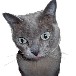 CC CopyCat Recipe Collection.apk 2.62