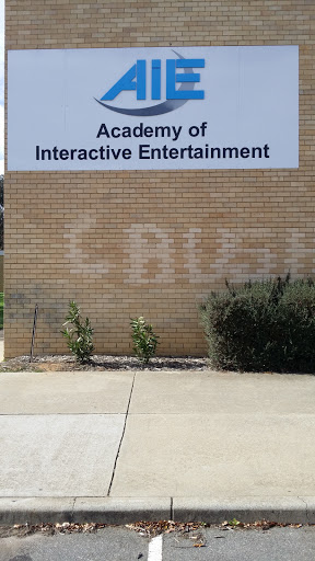 Academy of Interactive Entertainment
