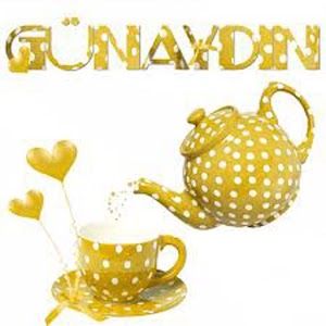 GÜNAYDIN SEVGİLİM.apk 1.2