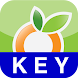 OurGroceries Key icon