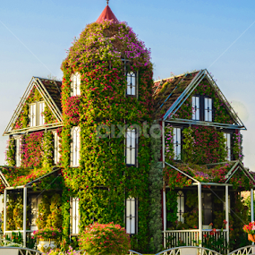 by The Bandwagon Chic - Novices Only Landscapes