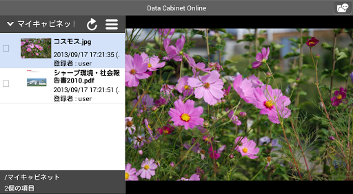 Data Cabinet Online 4.10.0 Windows u7528 6