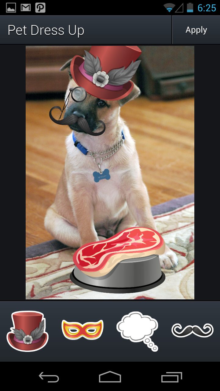 Aviary Stickers: Pet Outfits Screen 3