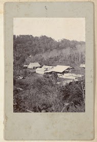 Gebouwen behorende bij plantage Silo Sanen gezien vanaf een hoger gelegen gedeelte