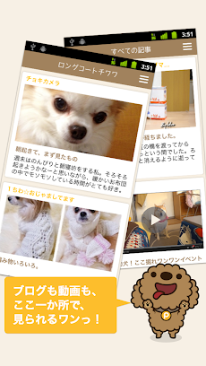 犬の写真ブログ動画を快適に読むPOCHIPOST ポチポストのおすすめ画像4