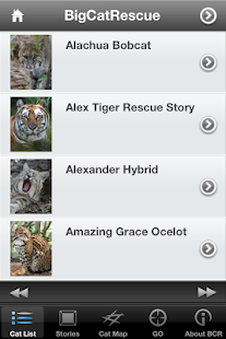 Big Cat Rescue Screenshots 1