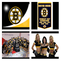 Boston Bruins