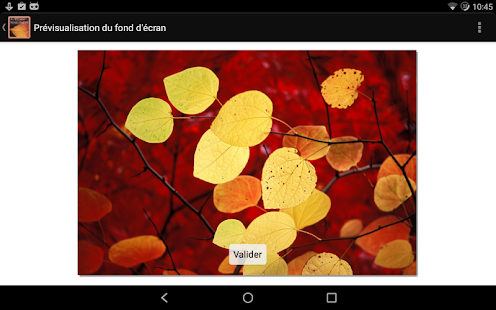 Autumn Wallpaper Screenshots 1