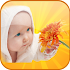 Glenn Doman's flashcards12.6 (Ad-Free)