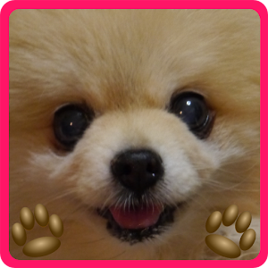 ペットにっき.apk 1.5