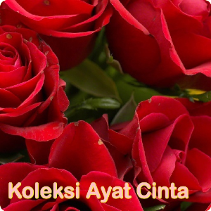 Koleksi Ayat Cinta.apk 1.0