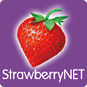 strawberrynet logo