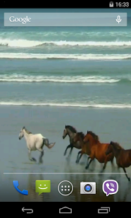 Amazing horses Video LWP(圖3)-速報App