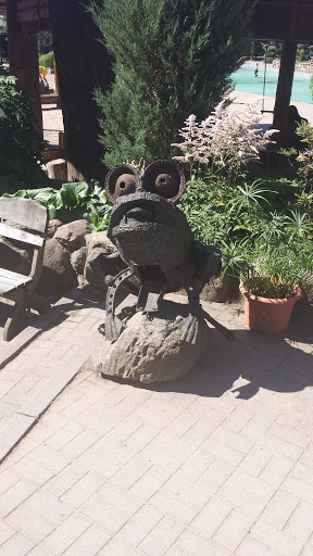 Iron Frog