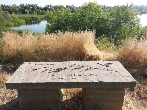On Eagles Wings Memorial Bench