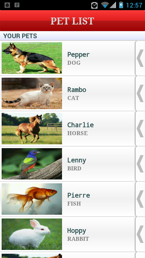 Android application Pet Profile screenshort