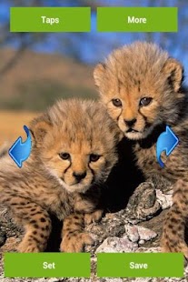 How to mod Big Cats Wallpapers 2.0.0 unlimited apk for pc