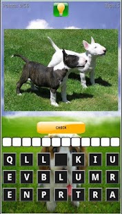 Download Puppy Dog Breeds Quiz APK