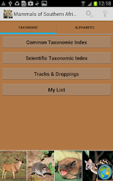 Mammals of SA Lite poster 1