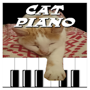 Cat Piano  Icon