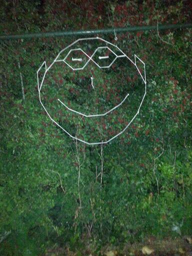 Smiley Fence