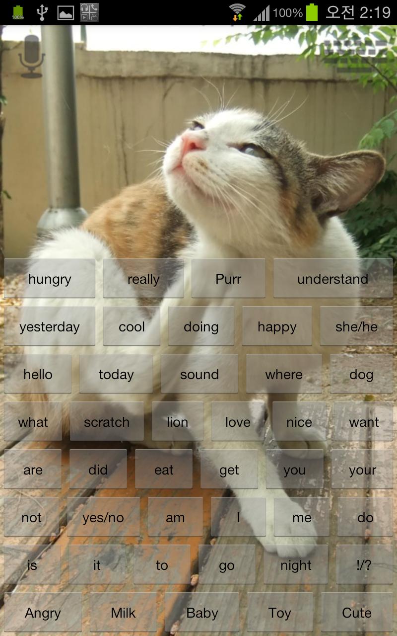 Talkicat Pro Screen 3