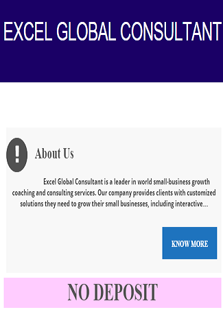 Excel Global Consultant