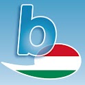 Byki Hungarian logo