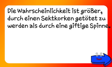 Dinge die man wissen sollte poster 7