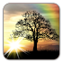 Sun Rise Free Live Wallpaper4.8.3