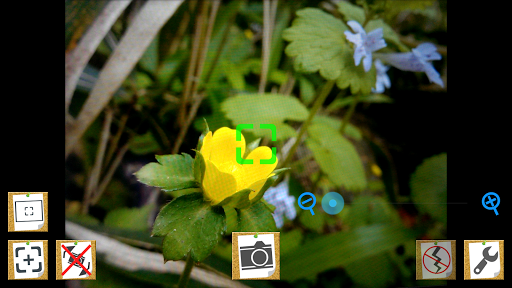 TouchCam【Simple Silent Cam】