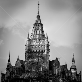 Light the Tower by Daryl Porter - Buildings & Architecture Architectural Detail