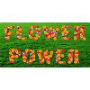 Flower Power Sticker