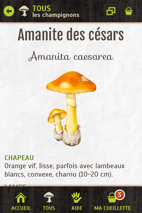 Android application ik-Champi screenshort
