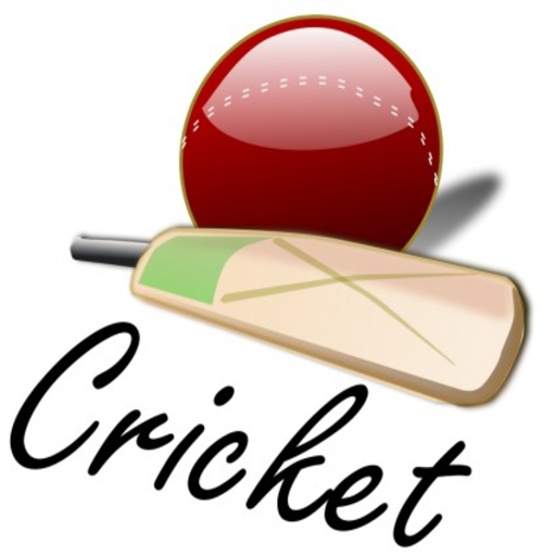 Cricket Live Score LOGO-APP點子