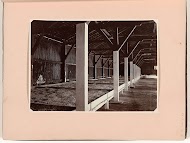 Het kalken van muskaatnoten ('Das Kalken der Nüsse')