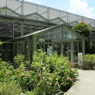 菁芳園 Tenway Garden／花園餐廳／落羽松
