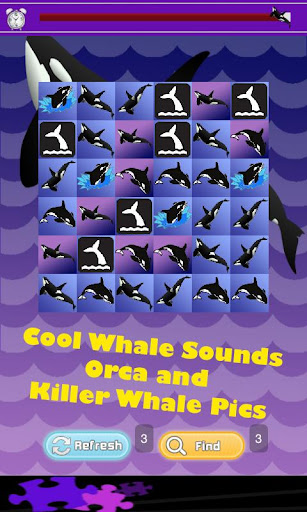 Killer Whale Games