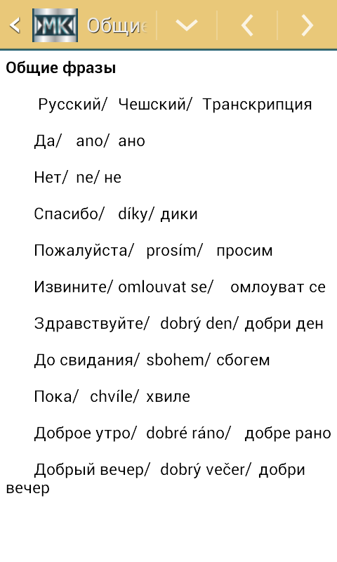 скачать русско-чешский разговорник