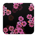 FishArt: Pink Gerbera