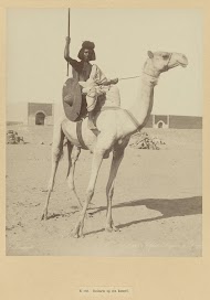 Portret van een onbekende Bishari-soldaat op een kameel
