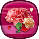 Carnation Live Wallpaper icon