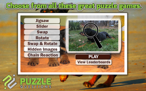 Rottweiler Puzzle Games