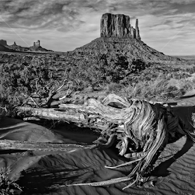 Monument Valley Number 1 by Flavio Mini - Black & White Landscapes