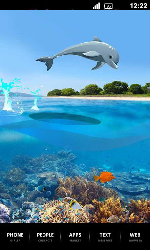 Dolphin Live Wallpaper