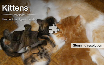 Kitten Jigsaw Puzzles Demo poster 5