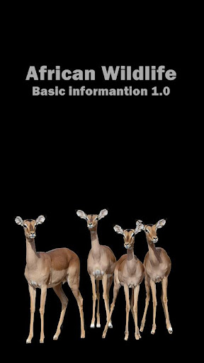 Wildlife Basic Information