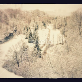 Osjecam se ko Mujo kad je pisao pismo iz Kanade, sad mi se svida,a za tri mjeseca cu skidat sve sa spiska. To mora da je ljubav! <3 by Ana Marija - Uncategorized All Uncategorized