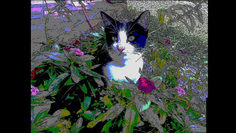 Hand-Drawn Camera FREE poster 2