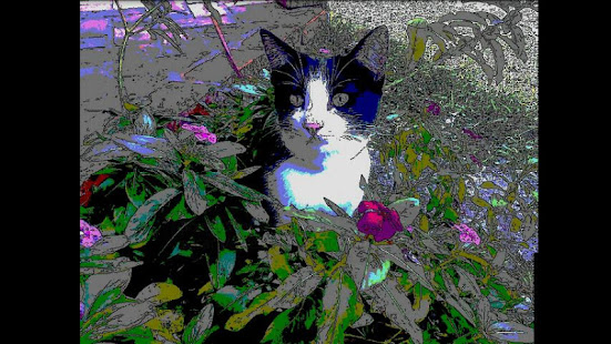 Hand-Drawn Camera FREE(圖3)-速報App
